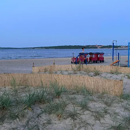 Foerdefreude 와세르스레벤